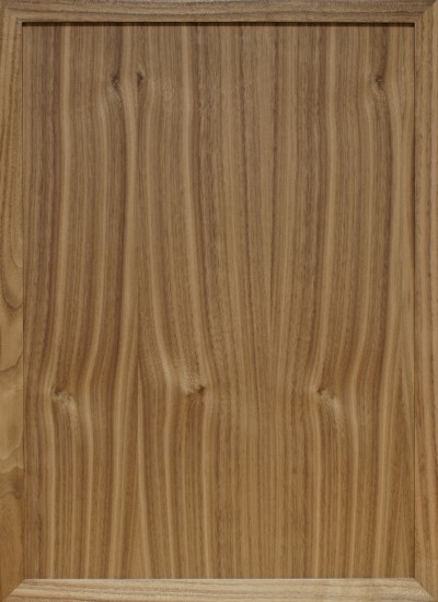 Specialty Door