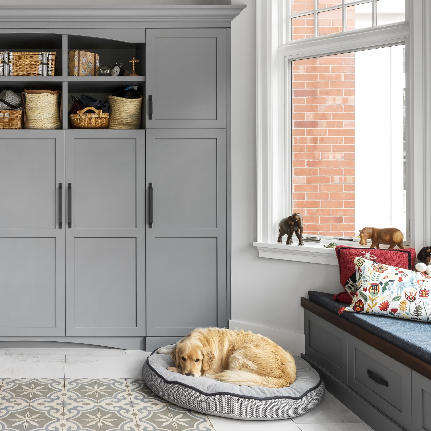 custom cabinetry designed for life | dog lying next to window