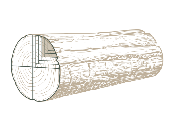 Wood Grain Illustration